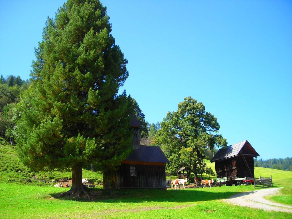Wohlfuehlpension Kreischberg Inklusive Murau Sommergaestecard Ab 2 Naechte Sankt Georgen ob Murau Extérieur photo