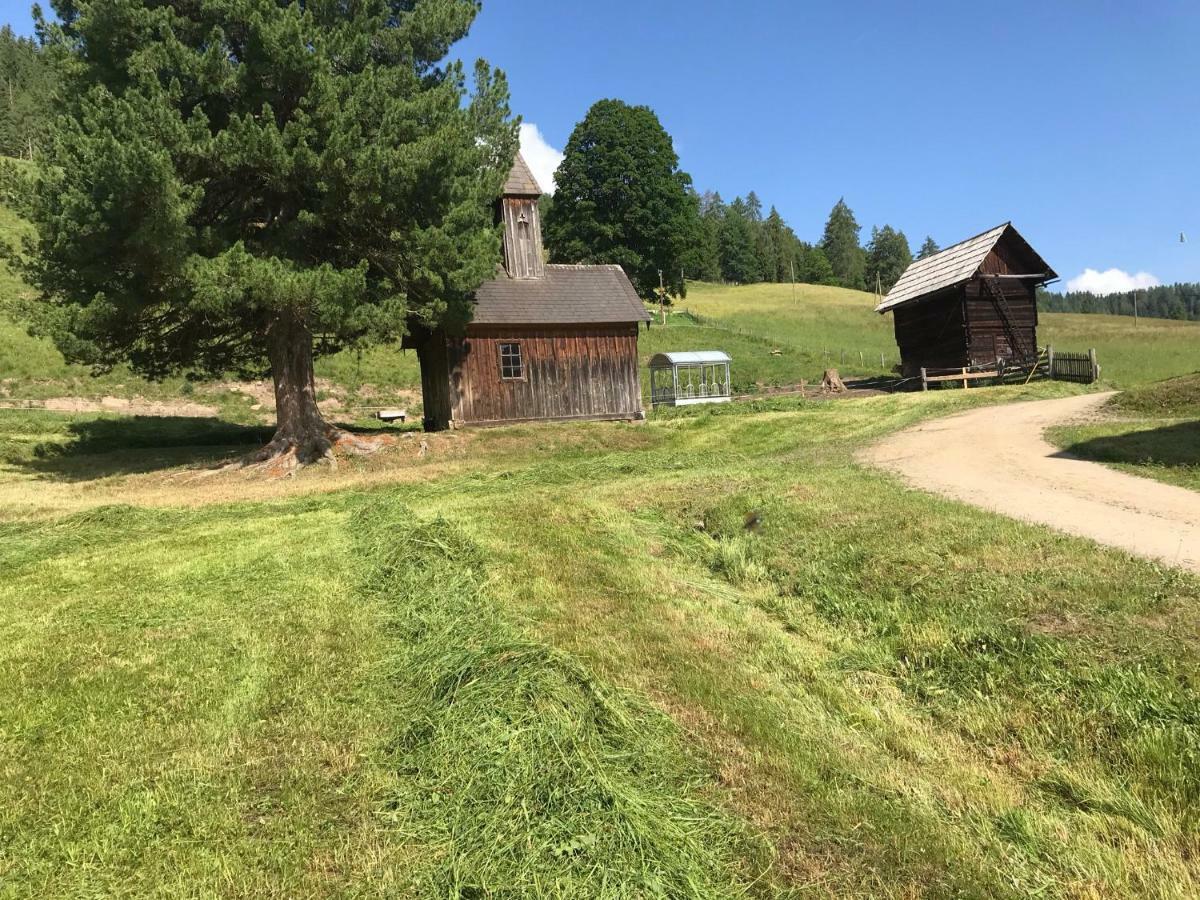 Wohlfuehlpension Kreischberg Inklusive Murau Sommergaestecard Ab 2 Naechte Sankt Georgen ob Murau Extérieur photo