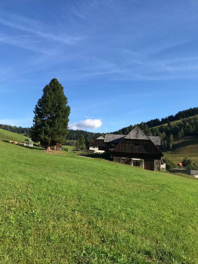 Wohlfuehlpension Kreischberg Inklusive Murau Sommergaestecard Ab 2 Naechte Sankt Georgen ob Murau Extérieur photo